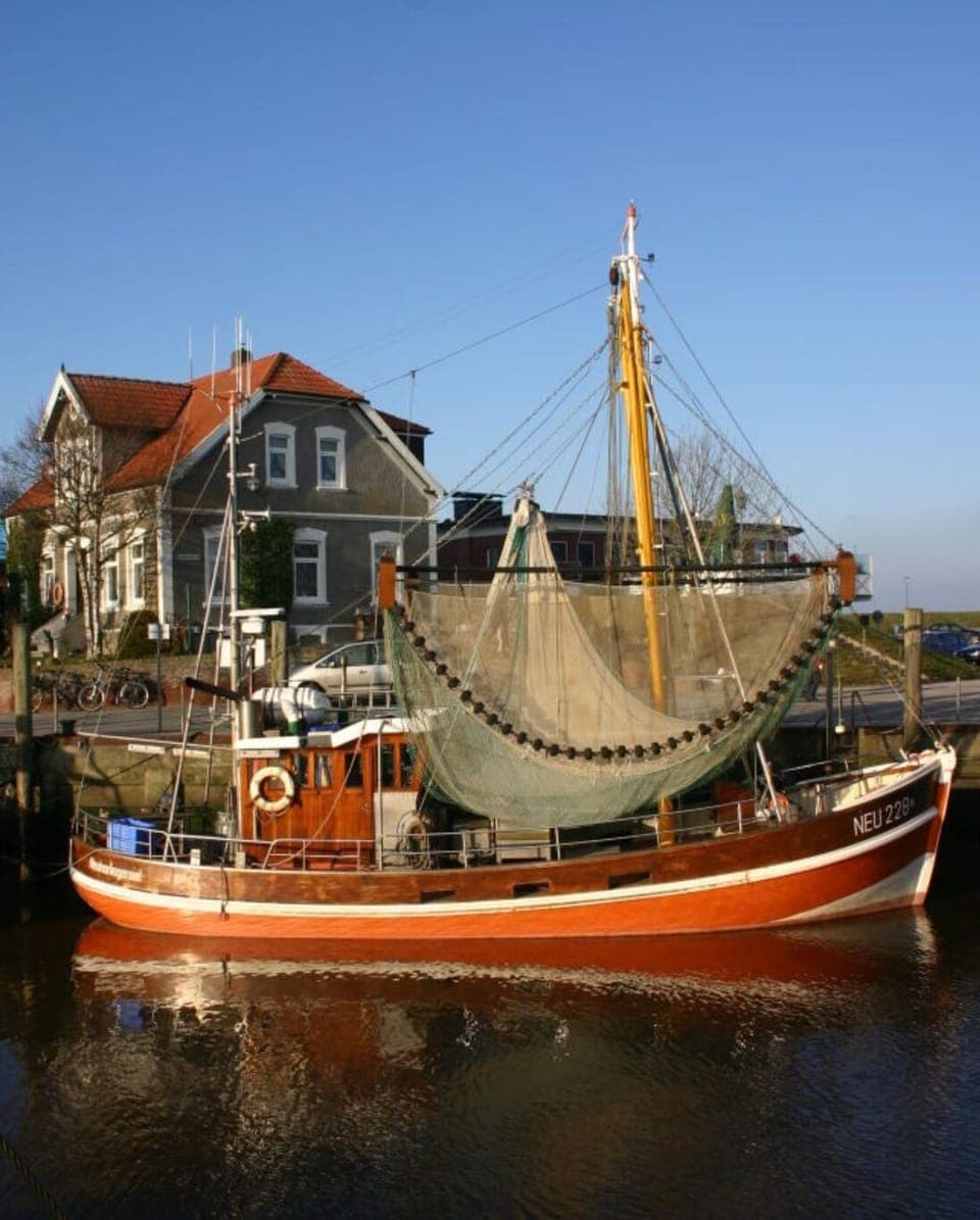 Surroundings [summer] (1-5 km)