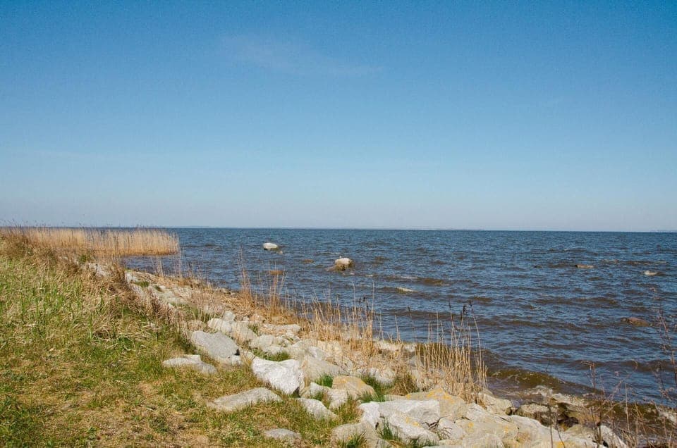 Area that directly surrounds the property