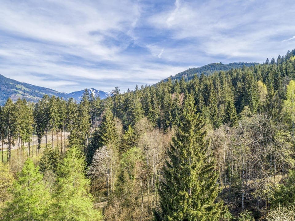 Region [summer] (>5 km)