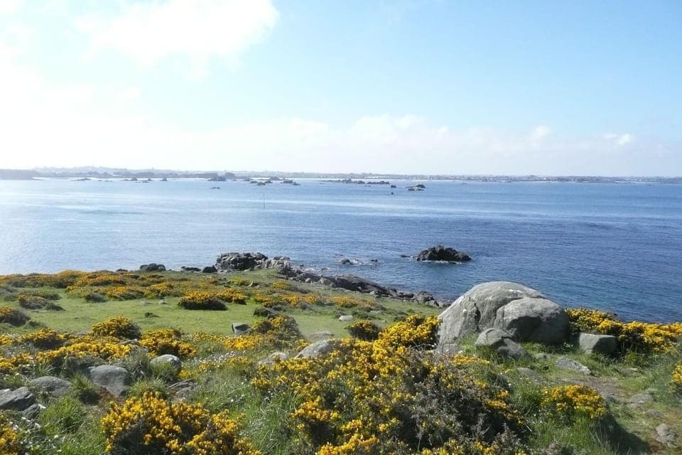 Region [summer] (>5 km)