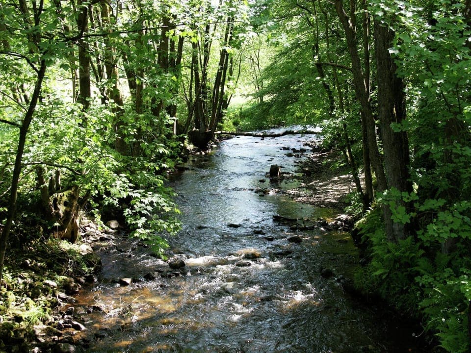 Region [summer] (>5 km)