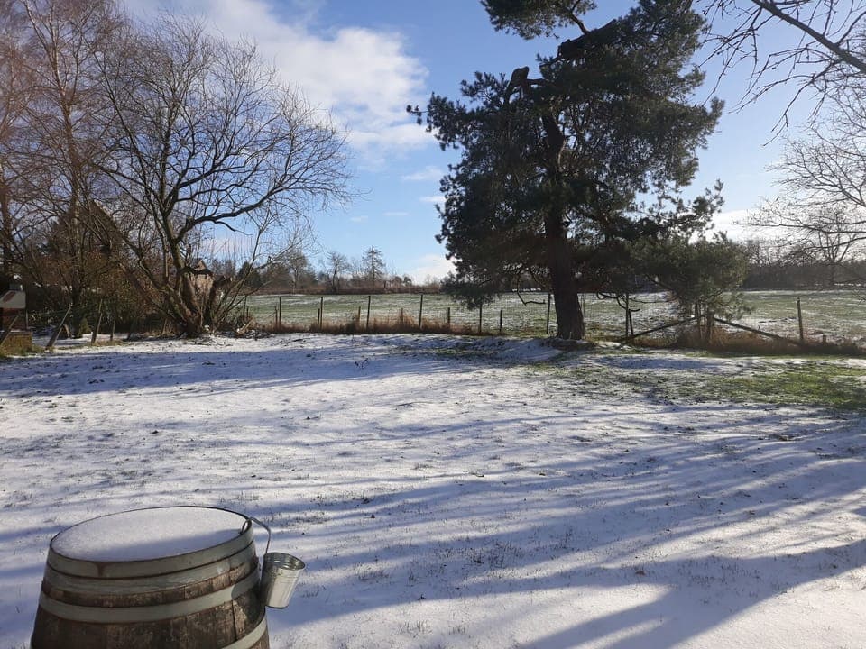 View from Holiday Home [winter]