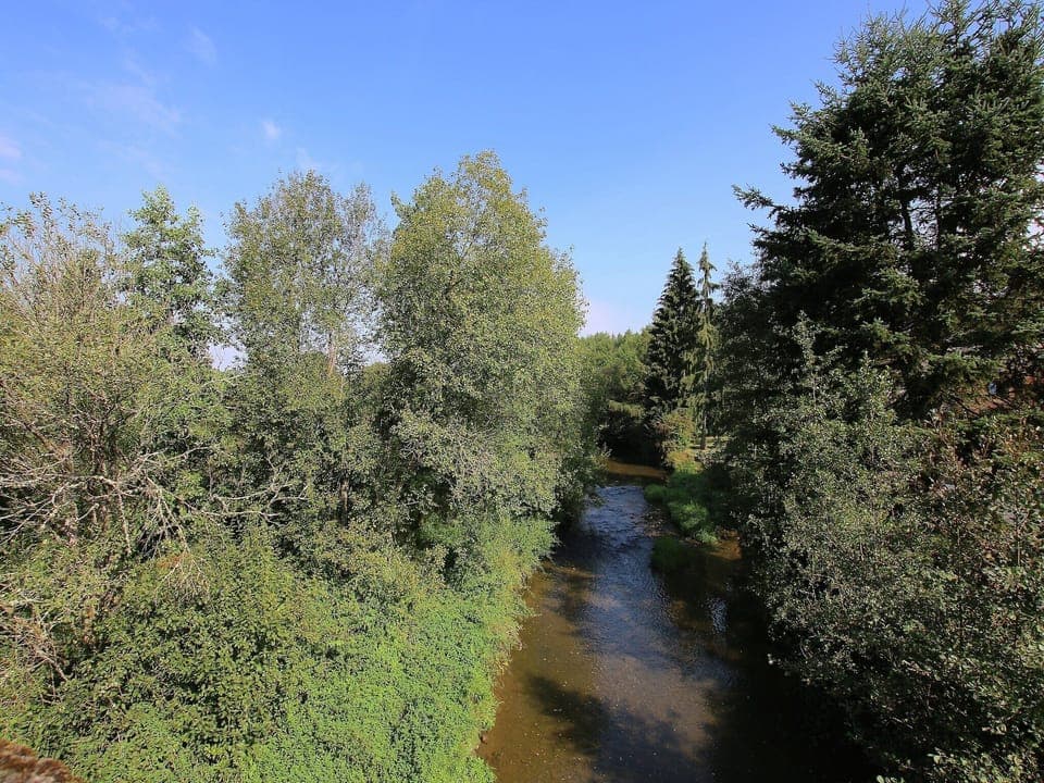 Immediate Surroundings [summer] (<1 km)