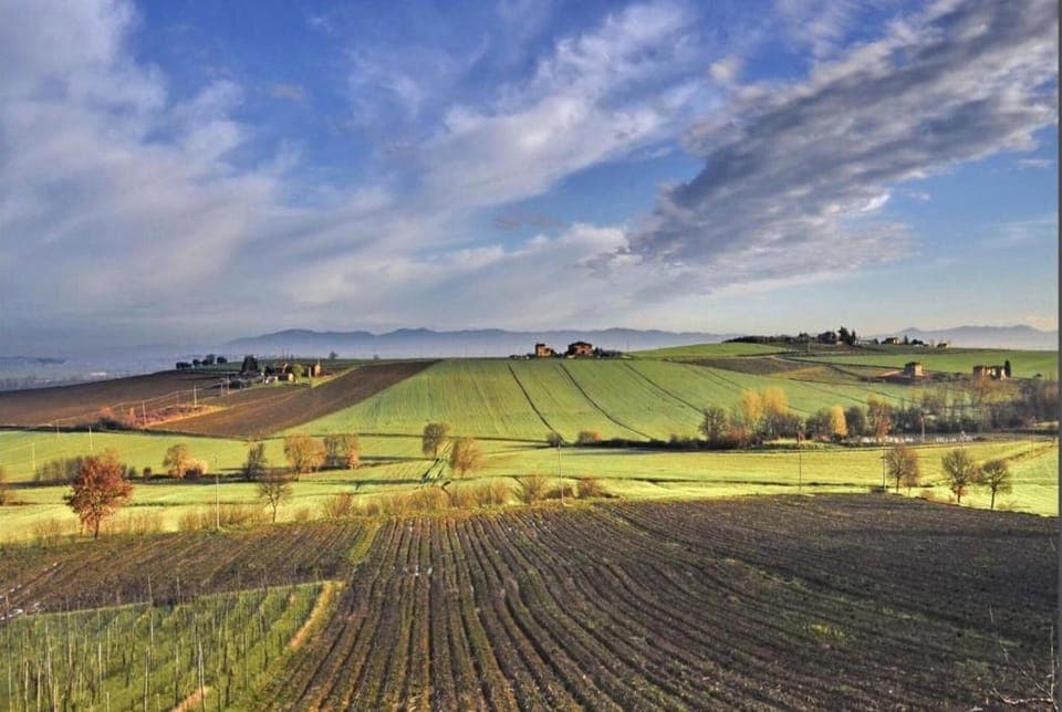 Region [summer] (>5 km)