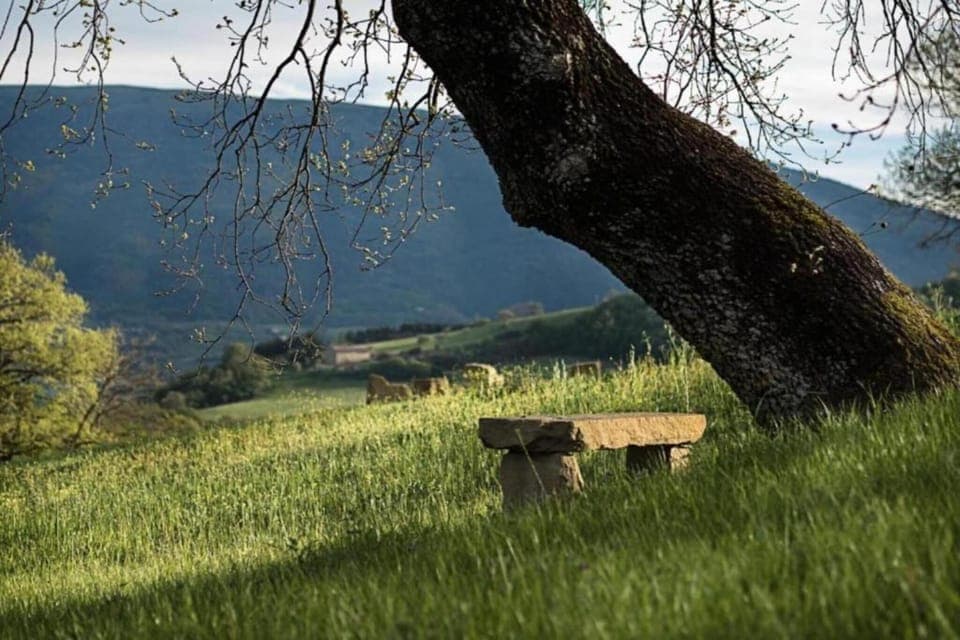 Surroundings [summer] (1-5 km)