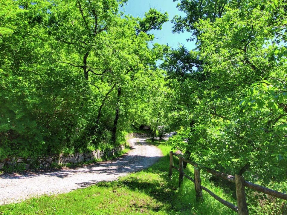 View from Holiday Home [summer]