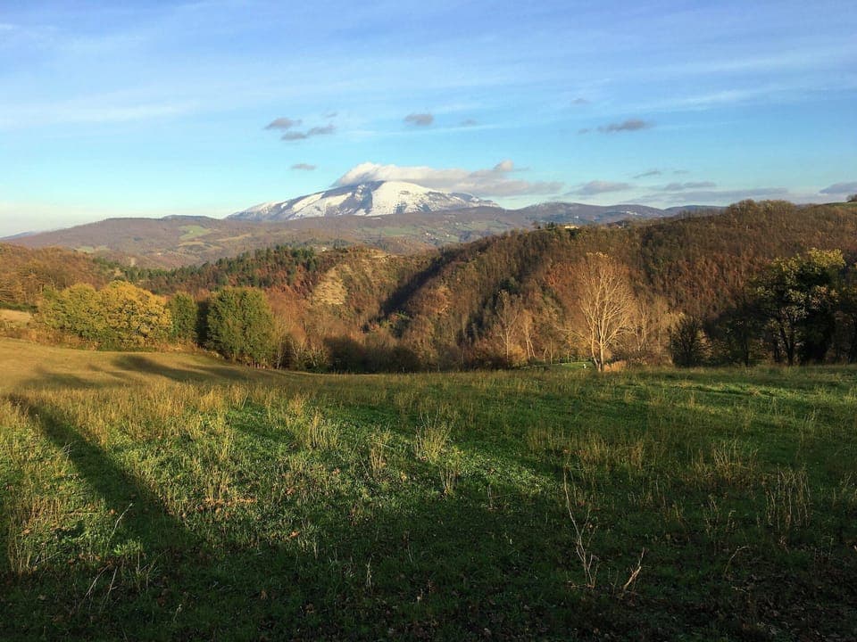 View from Holiday Home [summer]