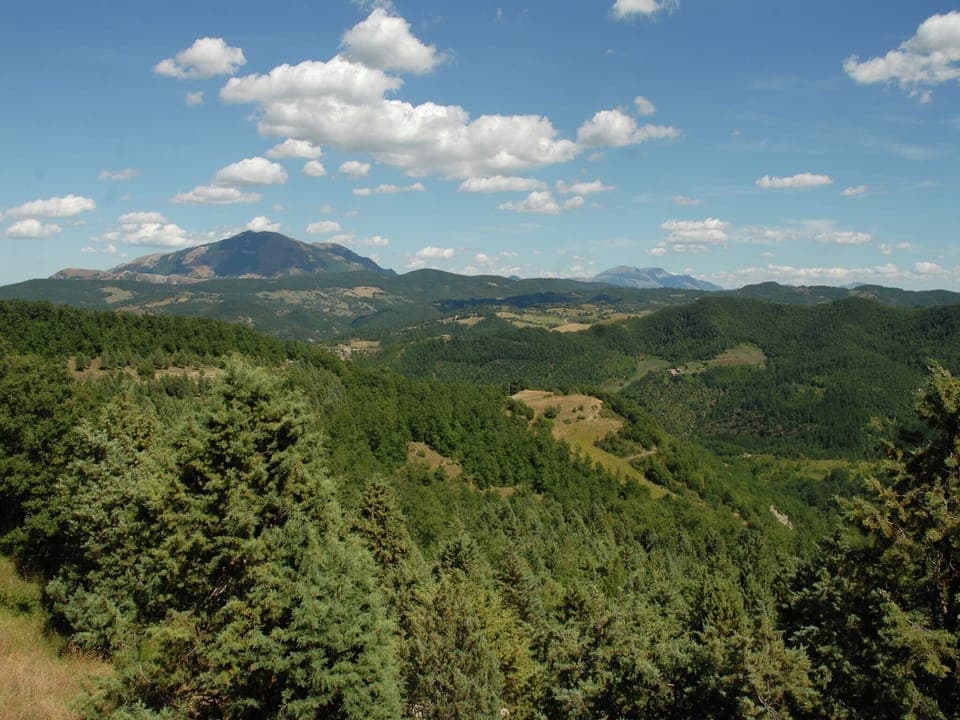 View from Holiday Home [summer]