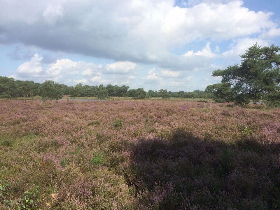 Surroundings [summer] (1-5 km)