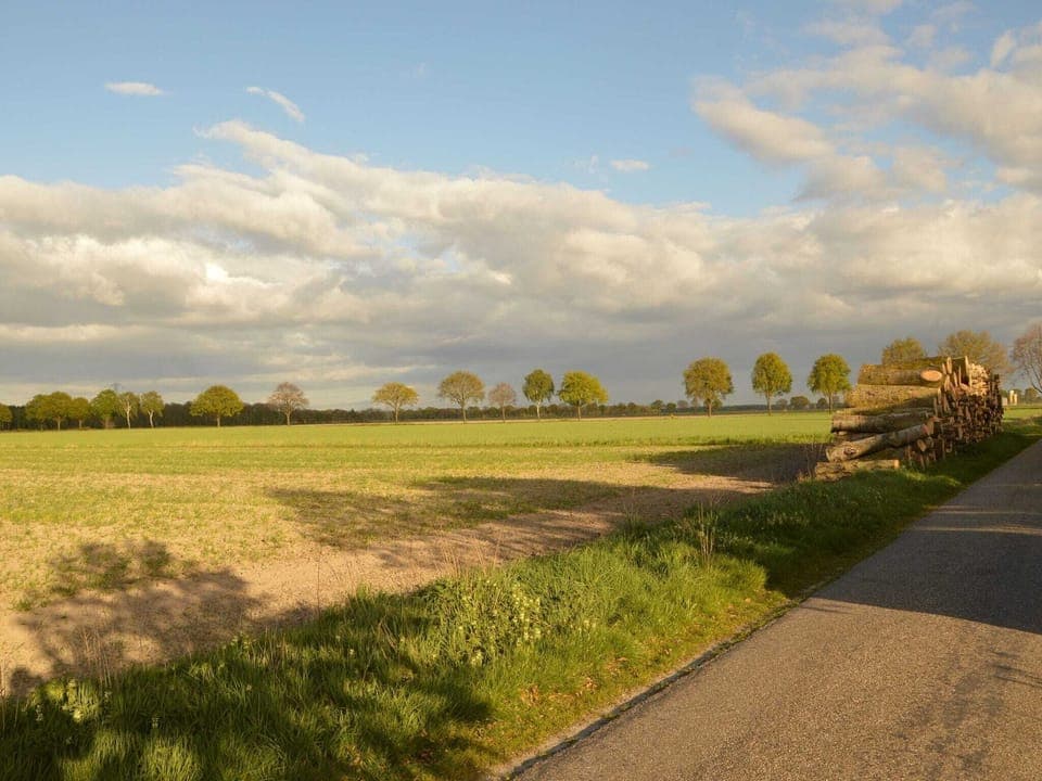 View from Holiday Home [summer]