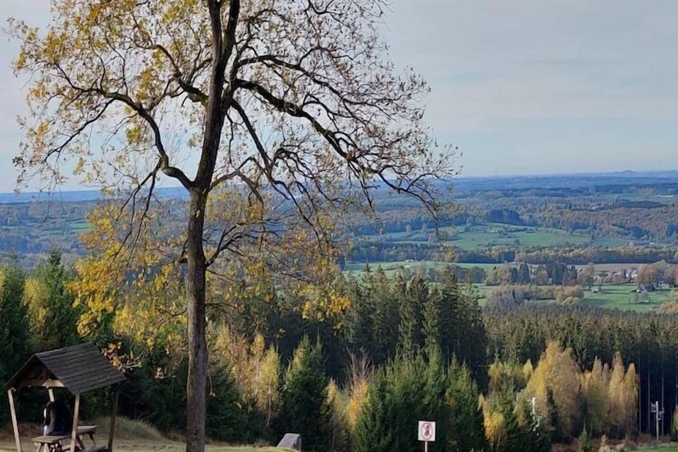 View from Holiday Home [summer]