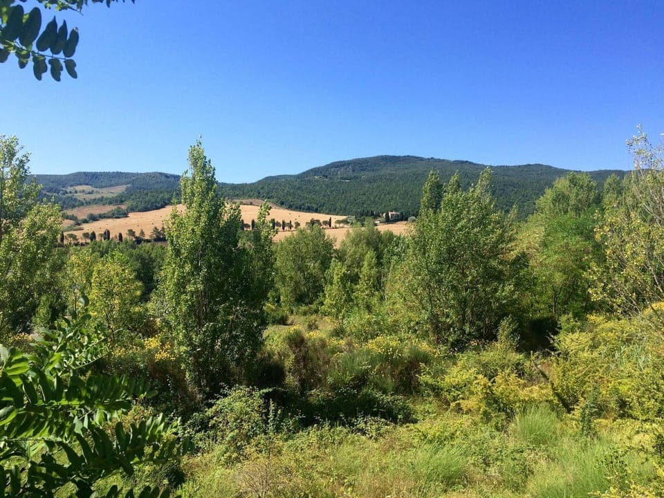 Region [summer] (>5 km)