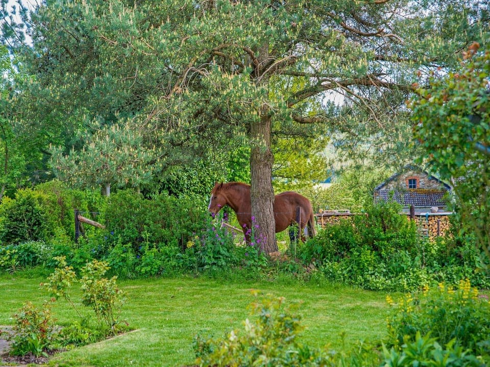 Immediate Surroundings [summer] (<1 km)