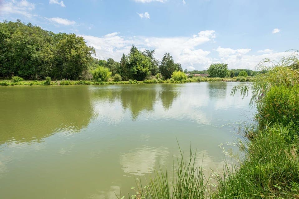 Surroundings [summer] (1-5 km)