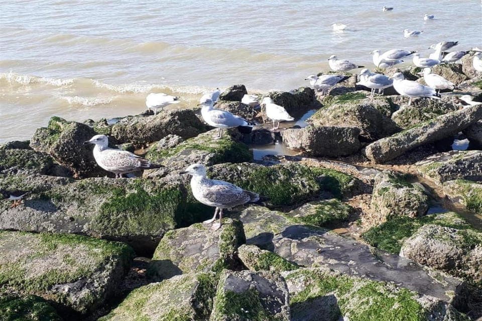 Immediate Surroundings [summer] (<1 km)