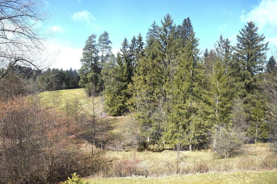 Immediate Surroundings [summer] (<1 km)