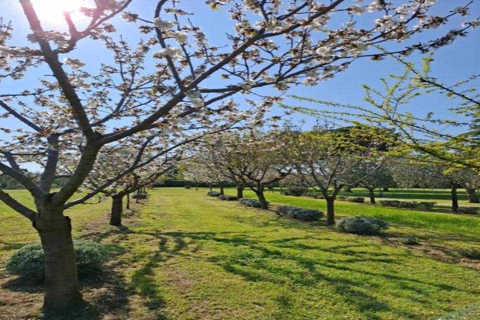 Region [summer] (>5 km)