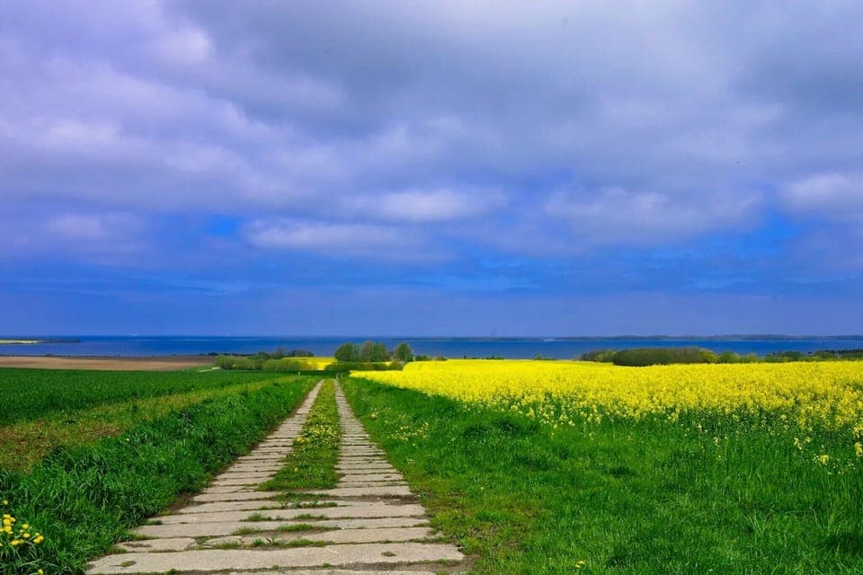 Region [summer] (>5 km)