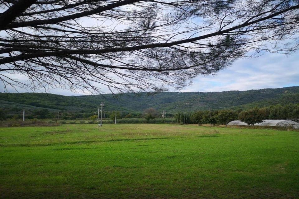 Region [summer] (>5 km)