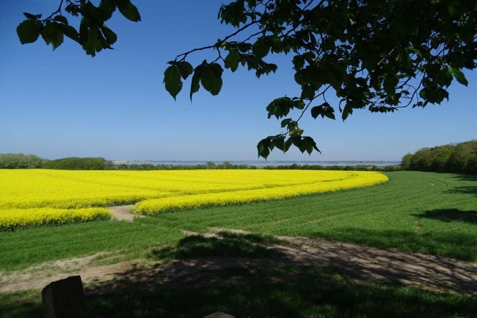 Holiday Home Facilities and Services