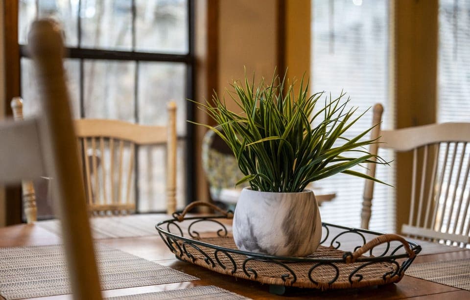 Lazy Dayz's inviting dining area
