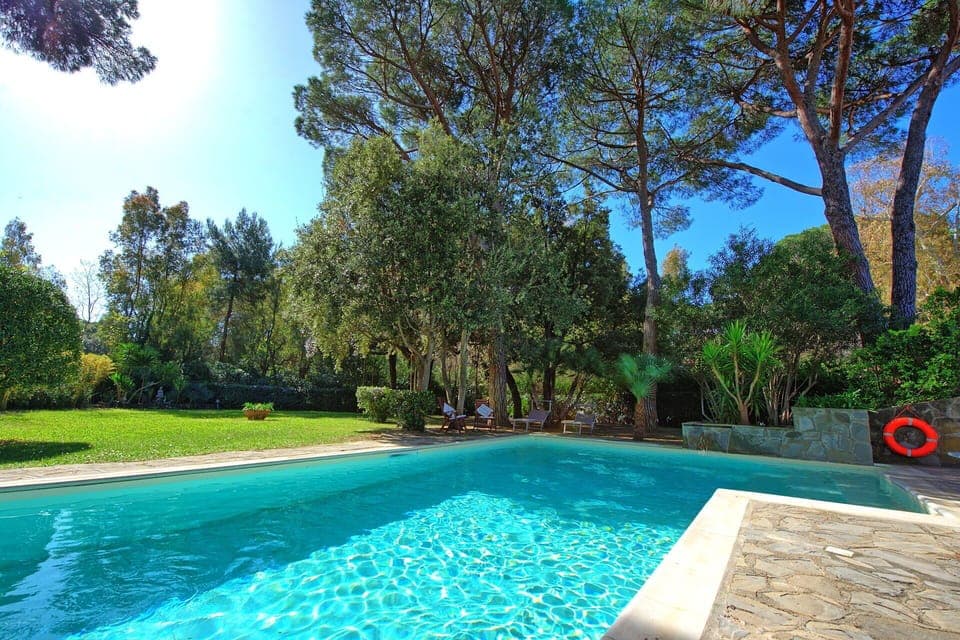 Garden, Outdoor, Pool, Summer