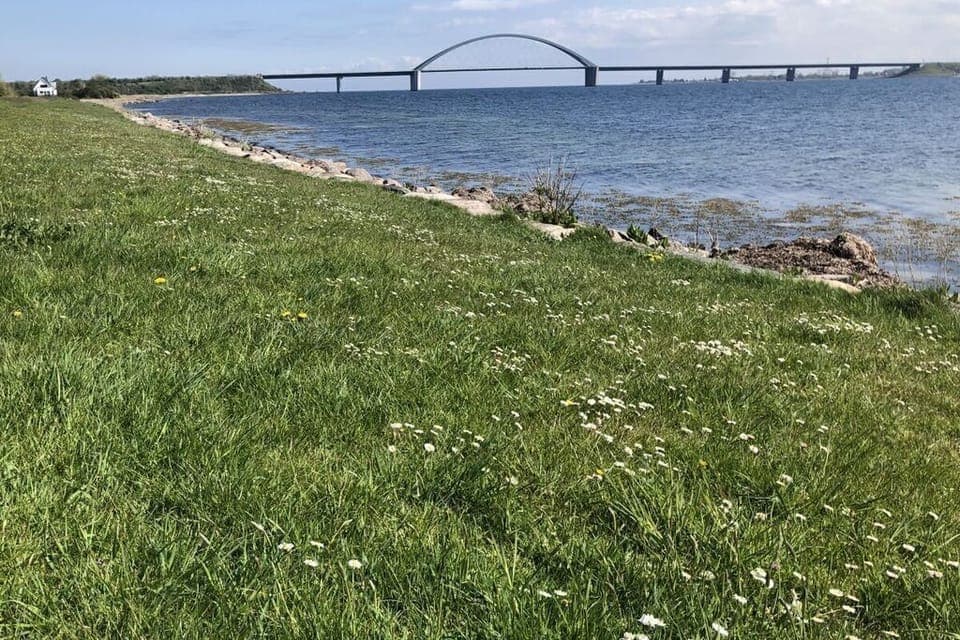 Surroundings [summer] (1-5 km)