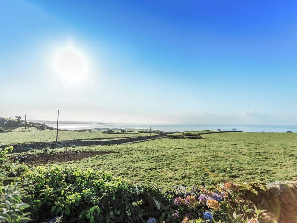 View | High Auchenlarie Cottage, Near Gatehouse of Fleet