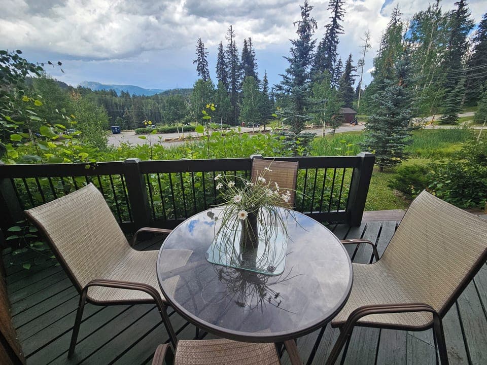 Back Deck Seating and Views