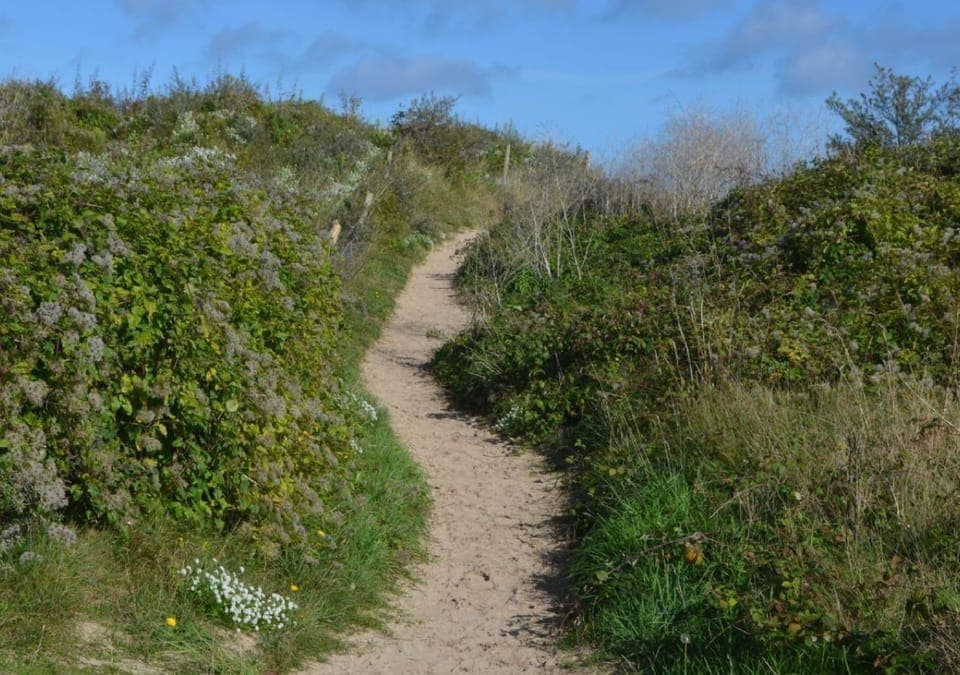 Local Path