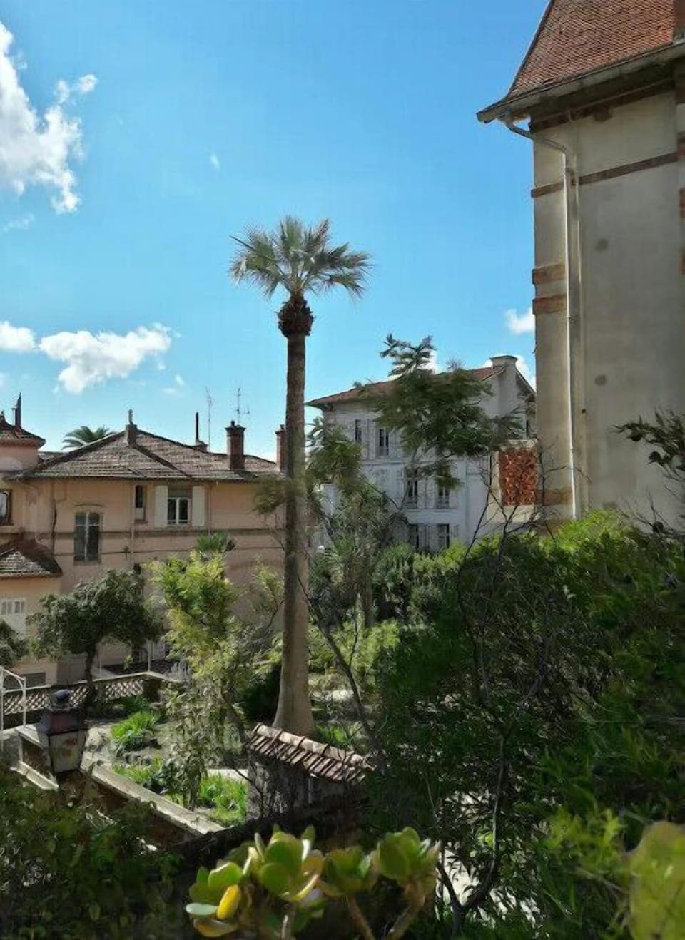 View from the terrace