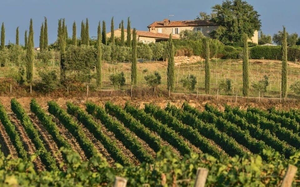 Activities, Amenities, Balcony / Terrace / Patio, Building Exterior, Garden, Main Entrance, Pool, Spring, Summer, Wellness