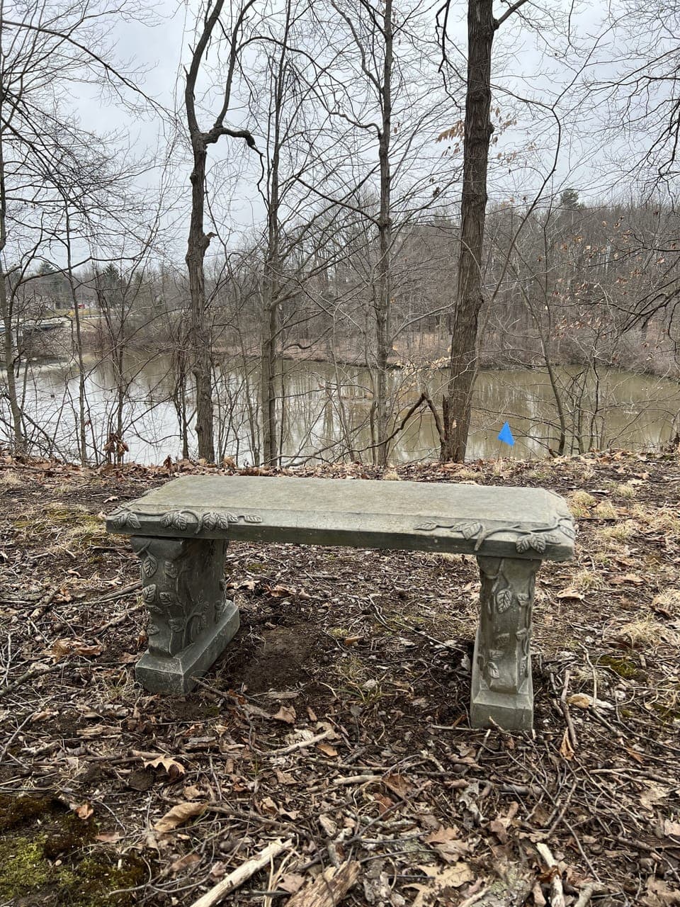 Bench on interpretive trail overlooking the headwaters of Lake Roaming Rock