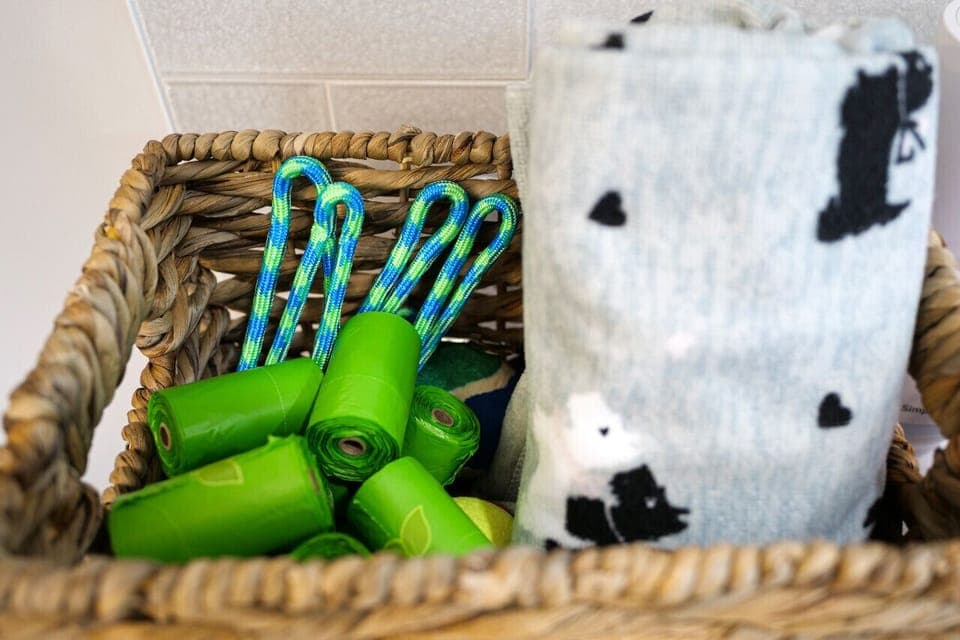 A collection of dog treats, ready to delight your furry friend with flavors that make tails wag and hearts happy.