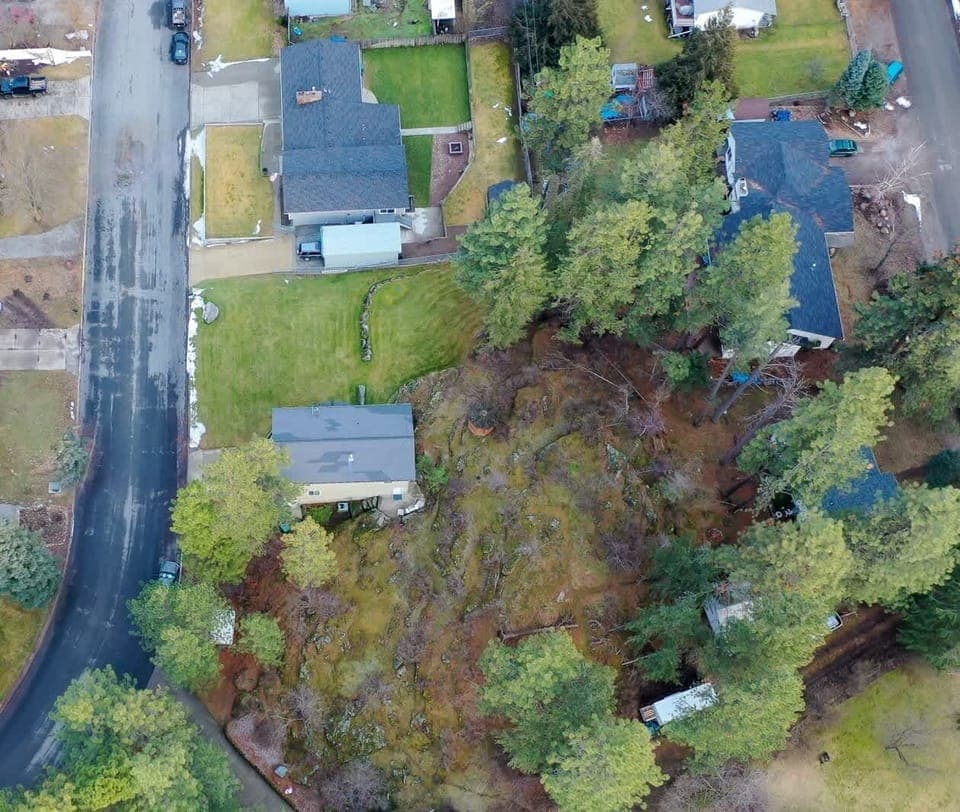 You can see that our hilly side and back yards offer lots of room to explore.