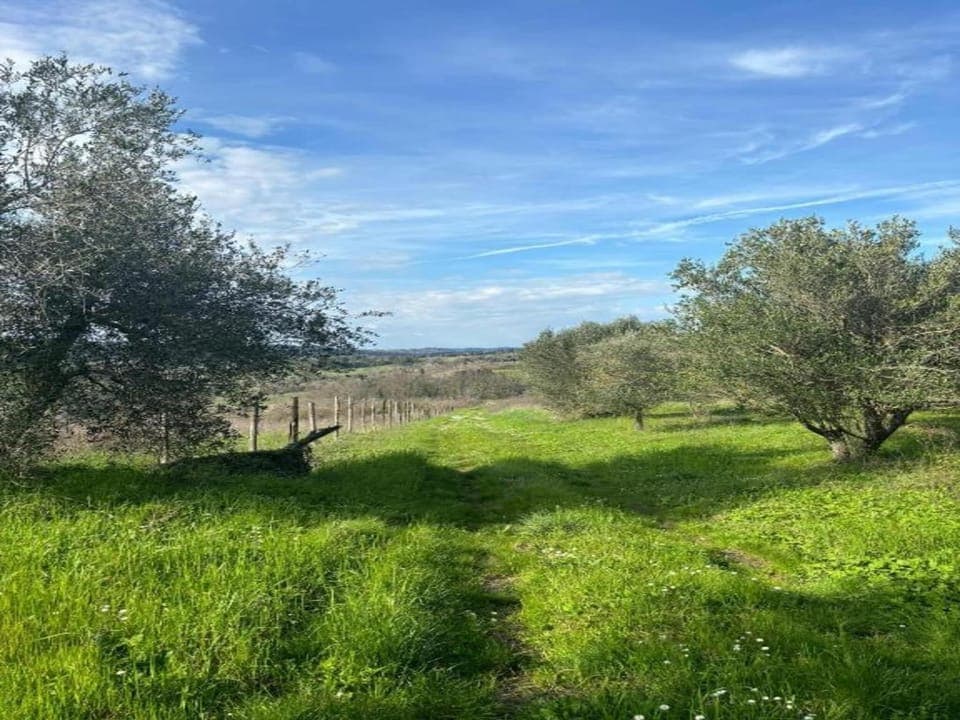 Surroundings [summer] (1-5 km)