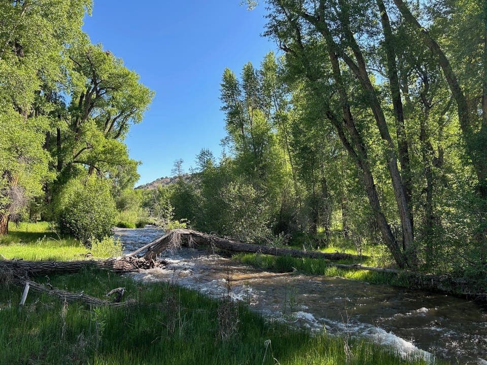 Frost Creek area
