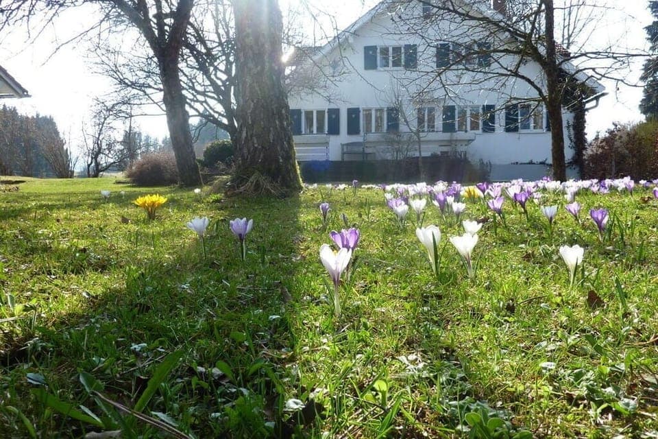 Holiday Home Exterior [summer]