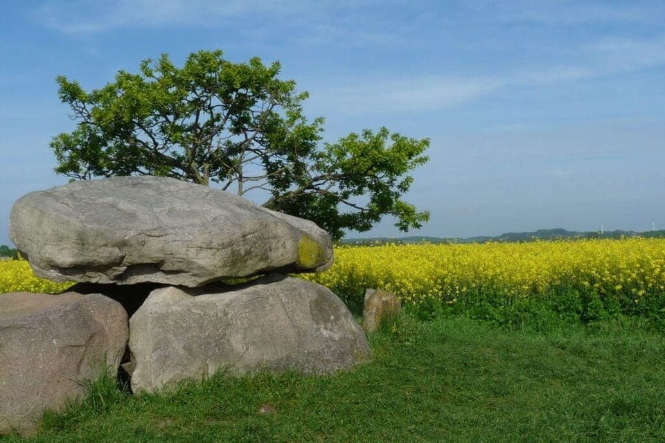 Surroundings [summer] (1-5 km)
