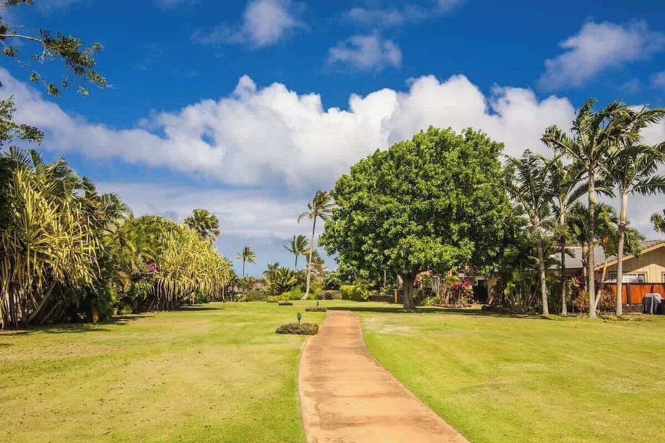 Greenbelt from Shipwreck's to Brennecke's Beaches