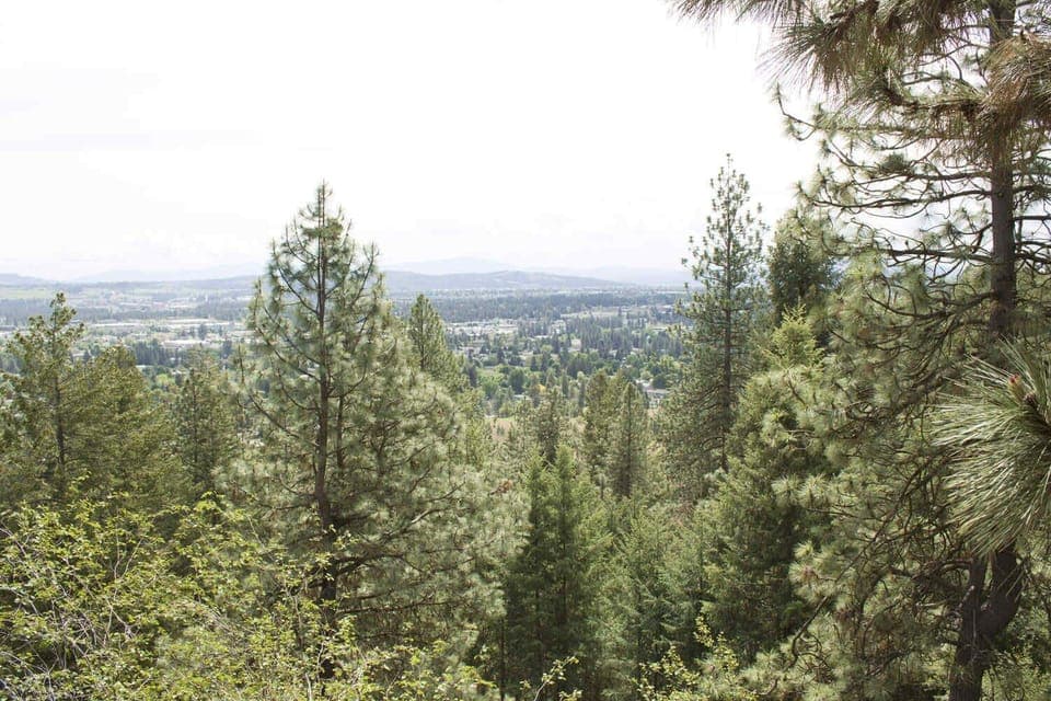 Holmberg Park is also home to a beautiful nature trail with views of North Spokane. Just a short walk away from Le Petit Guesthouse.