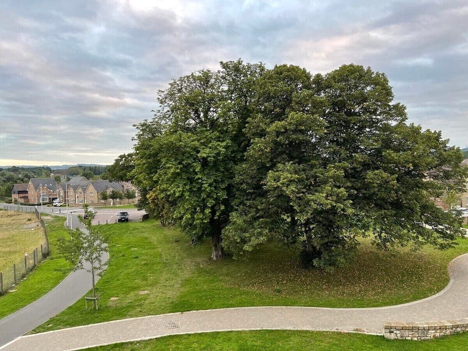 View from Living Room