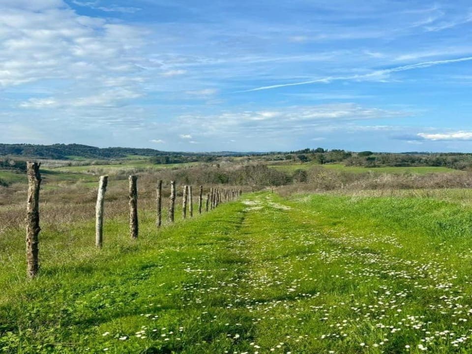 Surroundings [summer] (1-5 km)