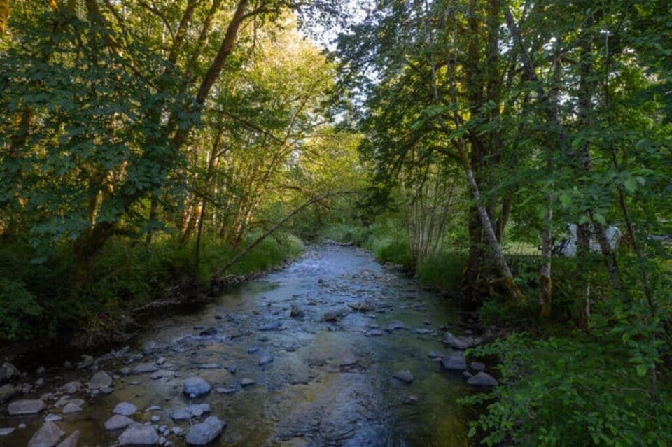 8f350fed-8946-421d-86cb-7595f75c2038