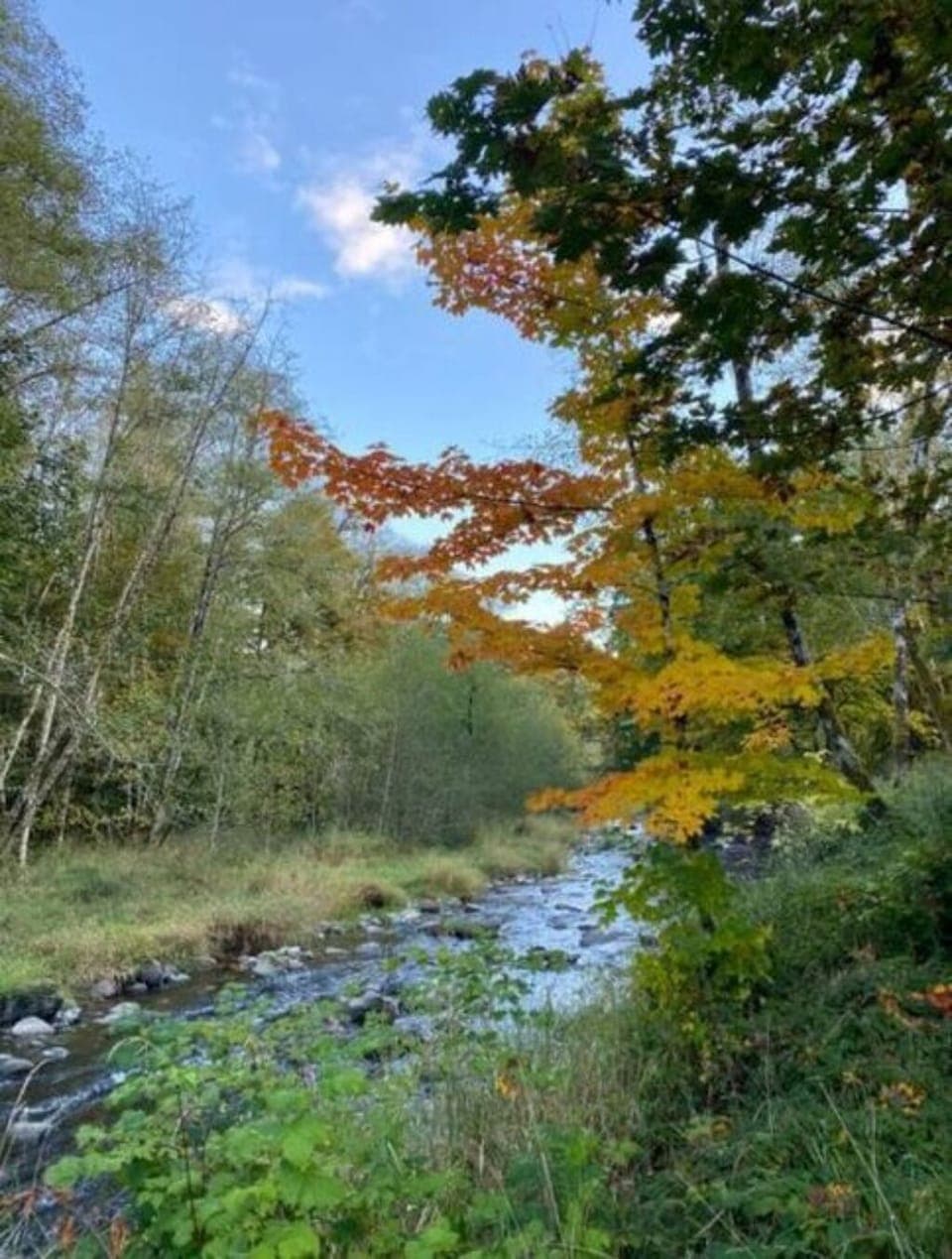 f9168bc4-def0-4611-bbe1-e25213cfd37f