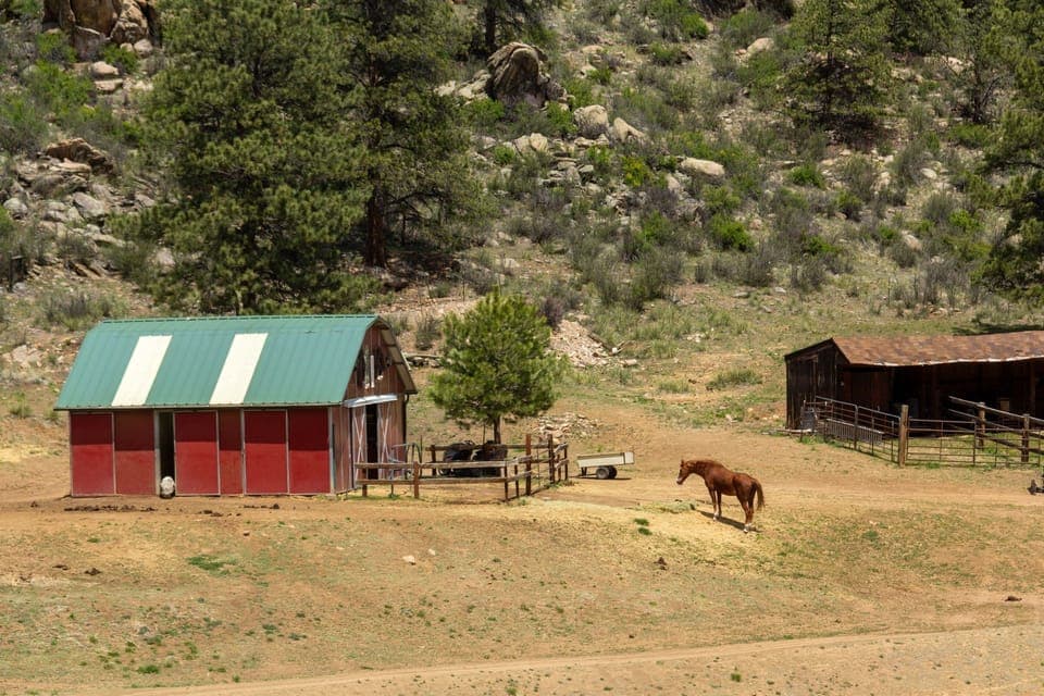 Where the animals live!