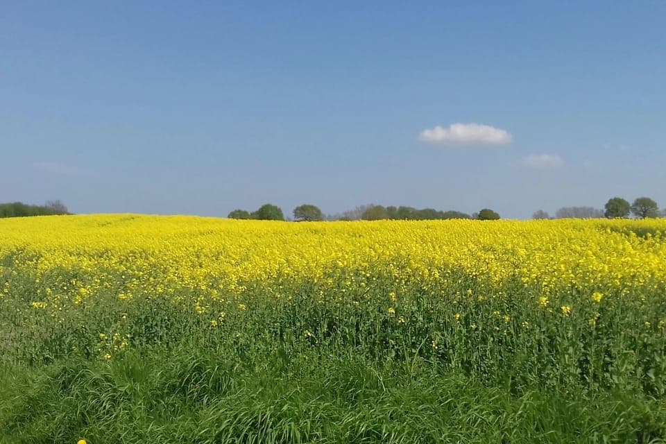 Surroundings [summer] (1-5 km)