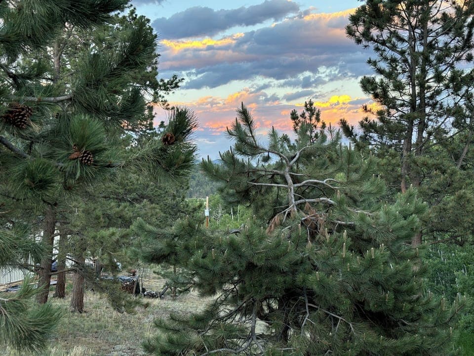 View from our deck