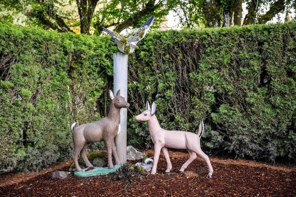 Hillsboro is very close to a lot of natural areas. Spend a day hiking and watching wildlife at some nearby parks.