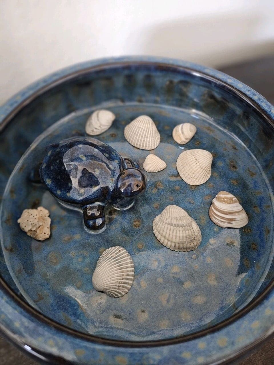 Add a shell or take a shell!